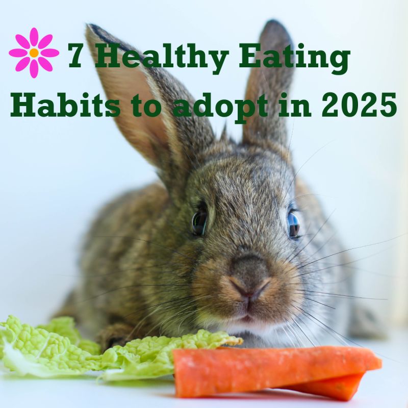 Healthy Food Habits in 2025 – Smart Eating Trends for a Better Life